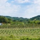 가족농장 이미지