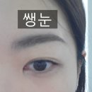 신정네거리술집 / 윤정포차 / 마르시끄 블랙틴팅속눈썹영양제 / 일상블로그