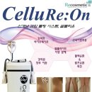 김정문알로에평촌지사 | ★평촌 김정문 알로에 스킨케어★