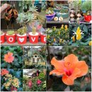 무이농장 이미지