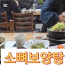 바다한우암소 이미지