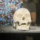 일맥상통신 | 데미안 허스트 전시 후기 - 닿을 수 없는 죽음을 향하여