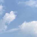 용두목장 이미지