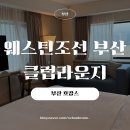 동백로 67 | 부산 호캉스 웨스틴조선부산 오션뷰 객실/클럽라운지/해피아워/조식 완벽 후기 (해운대 호텔 추천)