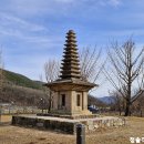 옥산리농로 이미지