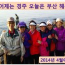 2014년 4월 권영완 부산 여행을 같이... 이미지