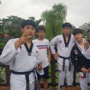 서오태권도 이미지