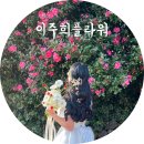 제주웨딩부케 이주희플라워 내돈내산 솔직후기