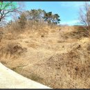 영덕야성초등학교 매정분교장 이미지