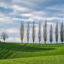 자연세차장 이미지