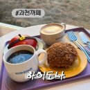 하이도나 | [과천까페]과천도넛 맛집 하이도나 후기 내돈내산