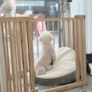 토비네 살롱 이미지