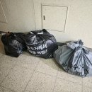 오늘 | 오늘수거 후기 비용 가격 내돈내산 쓰레기 버리기 분리수거 배출 앱