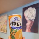덕우유통 | 화성 가구 단지 공장 직영으로 유통마진 없이 저렴한 유니 갤러리 노송가구 추천