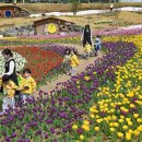 내고세천 이미지