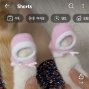 꼬까신 Daum카페