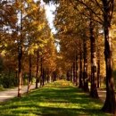 미니스톱 난지2점 이미지