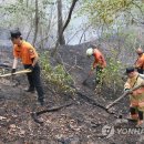 박찬숙농장 이미지