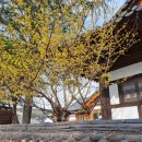 창평면사무소 | 담양가볼만한곳 창평국밥 창평오일장 창평면사무소 담양한과 창평쌀엿 창평삼지내마을 돌담길 한옥까페...