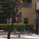 인더라인25시 이미지