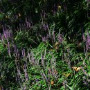 (주)정도 이미지