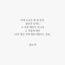 김토끼