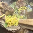 3일정성가마솥설렁탕 이미지