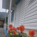 깊은산속옹달샘펜션 | 청도군 풍각면 가족 힐링 깊은산속맑은공기펜션 후기