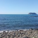 들꽃이 있는 바다 이미지