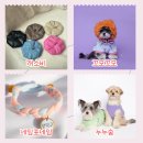 아띠앤펫 이미지