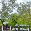 연천명소코스 | 연천여행 2025 구석기축제 포함 코스 소개