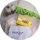 청년피자순천 이미지
