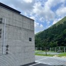 내를 건너서 숲으로 캠핑장 이미지