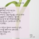 꽃꽃이(플라워테라피) 이미지