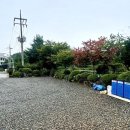 백교민박 네이버블로그