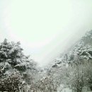 정선베다니자연농장 이미지