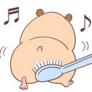 진주성로 이미지