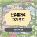 선유농장 | 인천 구월동 선유플라워그라운드/ 화훼농장 - 구매후기