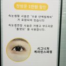 인아웃래쉬