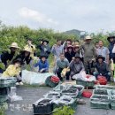 시기동 주민센터 이미지