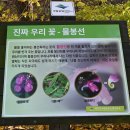 전주 이씨 영해군파 묘역 | 도봉산 옛길 (무수골)- ( 2025.11.09 )