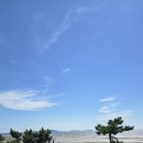 몽산포 펜션 | 서해바다 몽산포해수욕장 펜션, 오션갤러리 후기