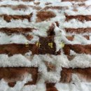 수선세탁 이미지