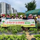 슬기농장 이미지