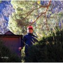 일상 스케치 속으로 이미지