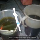 오토훼밀리카 이미지