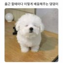 자옥식당