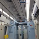 알록달록 우리, 책으로 만나요 (A반) | 쿠키런 킹덤 5주년 팬 페스티벌 <운명의 집결> 후기