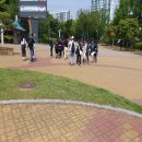 화이트환경주 이미지