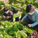 구민농장 이미지